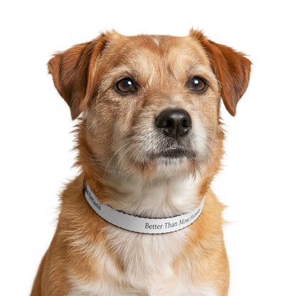Dog Collar
