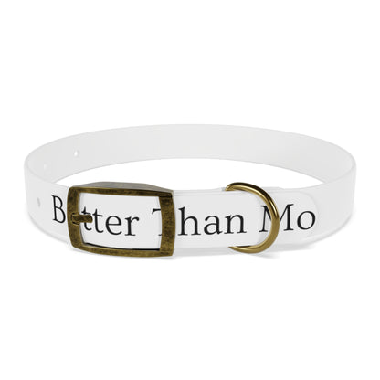 Dog Collar