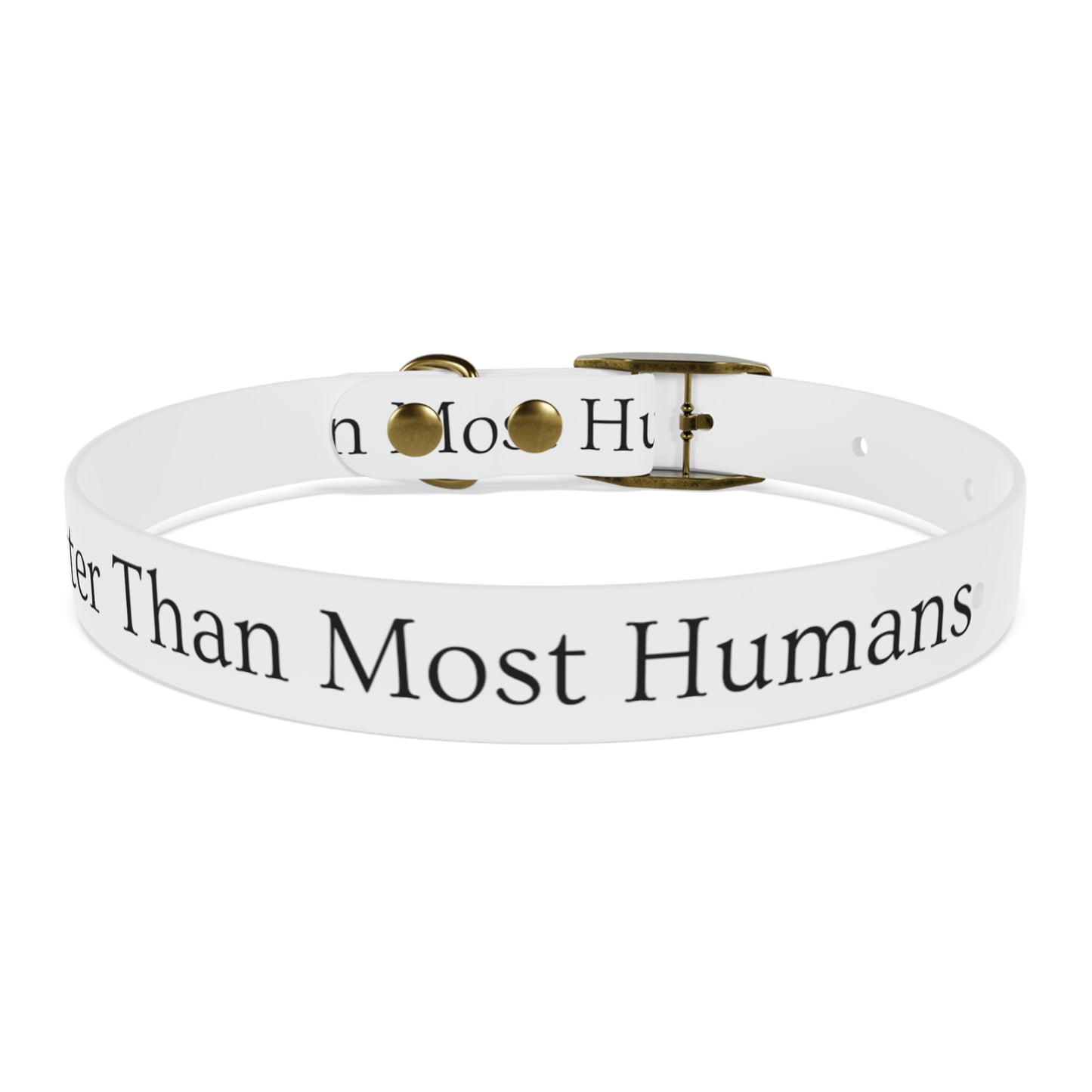Dog Collar
