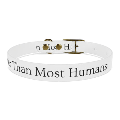 Dog Collar